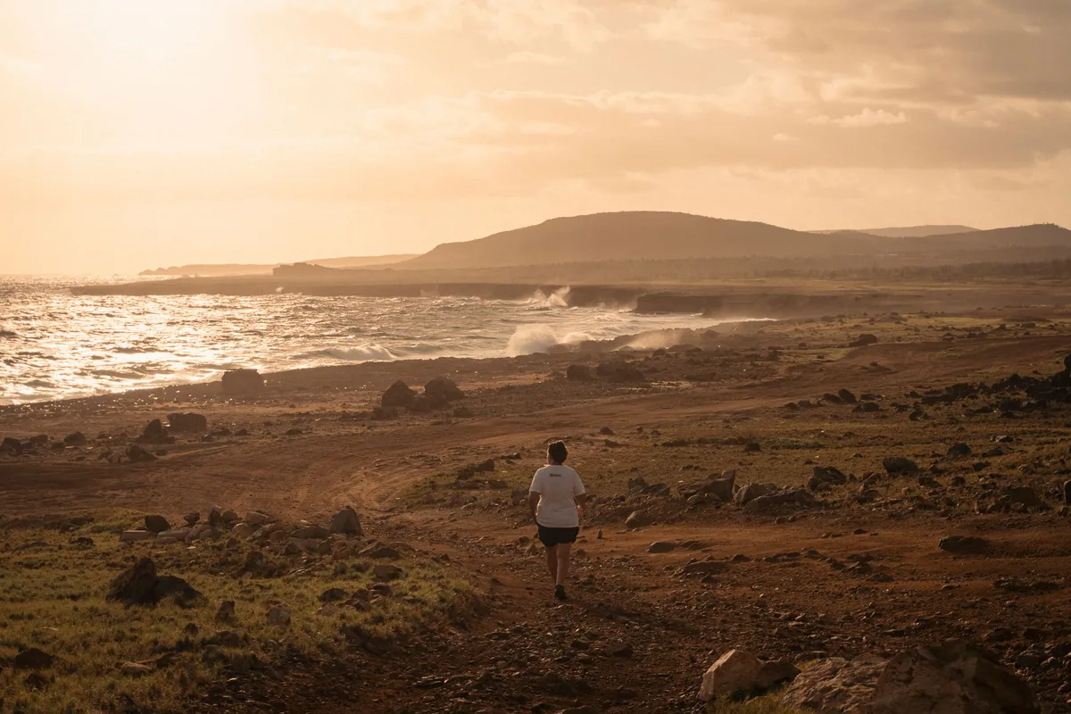 Acceptance and commitment therapy (ACT) — a calm, everyday scene