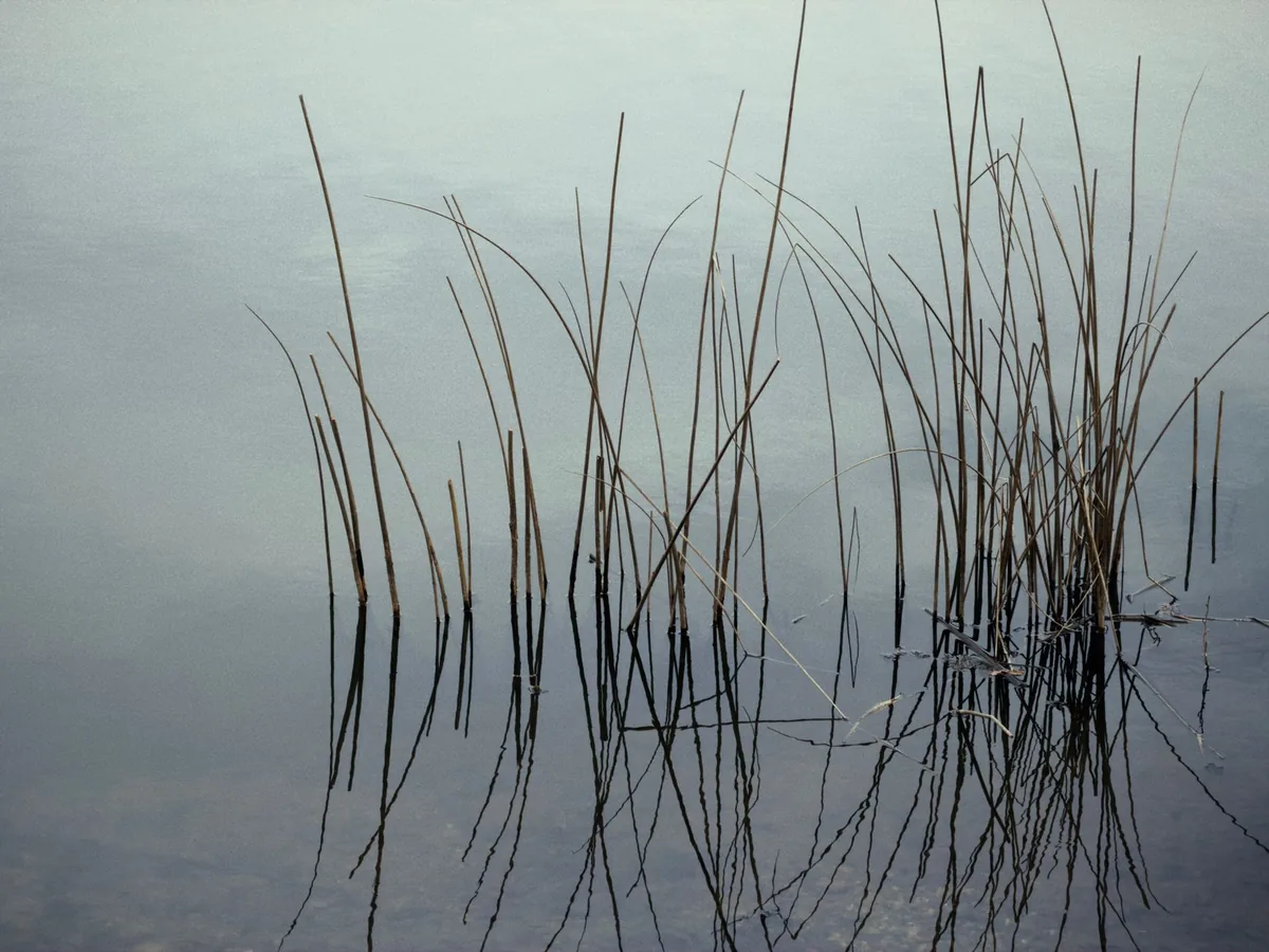 EMDR therapy — a calm, everyday scene